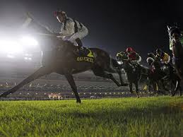 Wheeling Downs - Nighttime horse racing